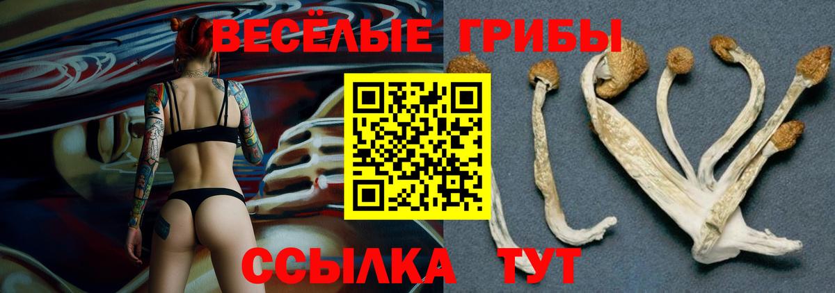 Псилоцибиновые грибы Magic Shrooms  Галлюциногенные грибы Psilocybine cubensis  Вход с VPN  Павлово 