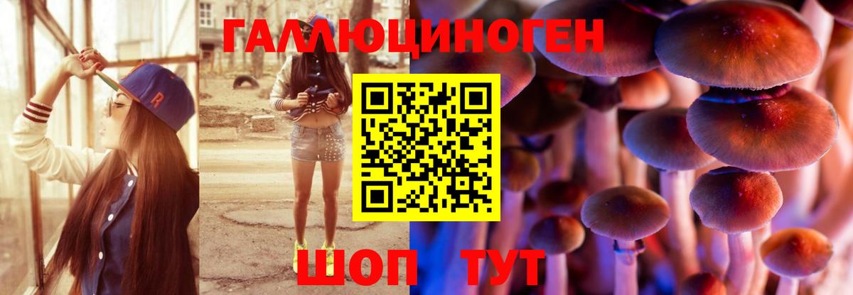 Псилоцибиновые грибы мицелий Павлово